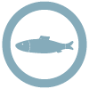 Pesce