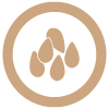Sesamo
